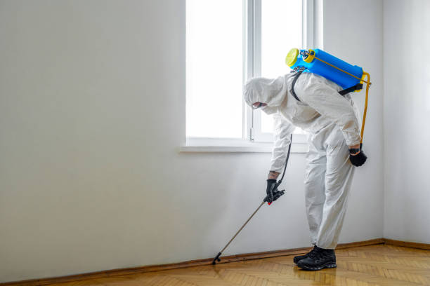 Reliable Thomasboro, IL Pest Control Solutions